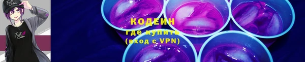 хмурый Алексин