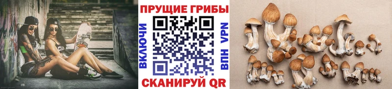 Галлюциногенные грибы Magic Shrooms  Спасск 