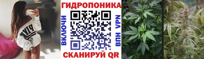 где купить наркотик  Спасск  Каннабис индика 